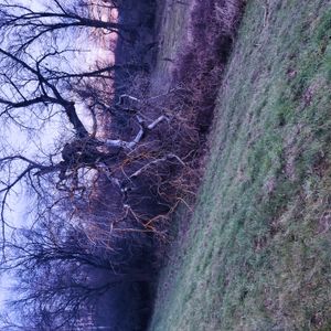 flat_icp_world: 39
